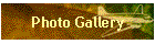 Photo Gallery